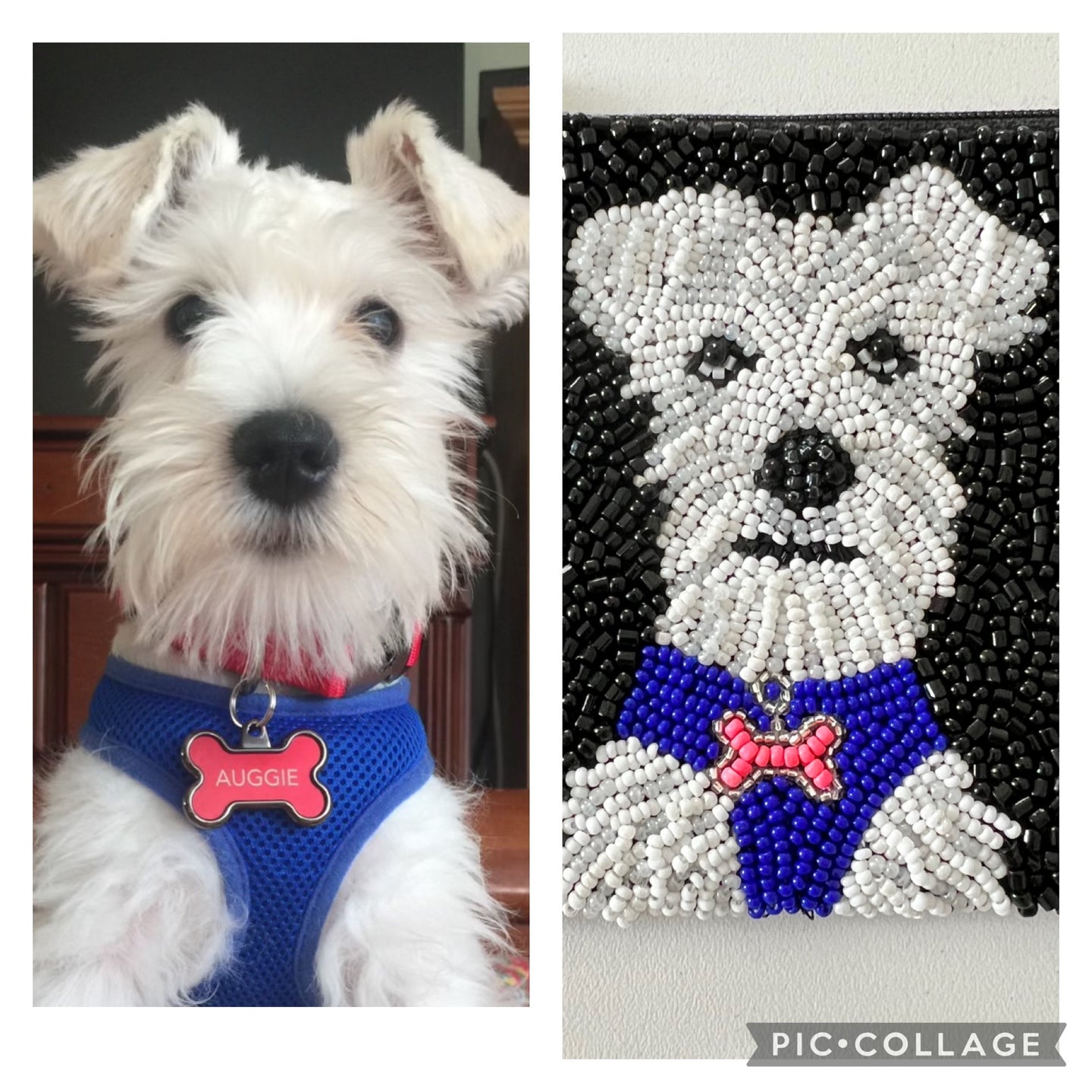 Furry Friends Coin Purse